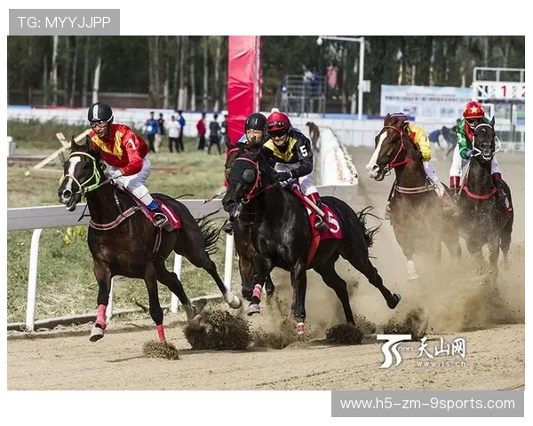 世界马术赛事检疫与运输合规手册第69版更新，世界马术运动会
