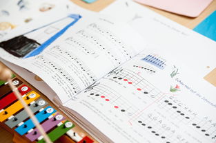 九游网页版入口-中小学体育健康促进政策执行情况分析，中小学加强体育
