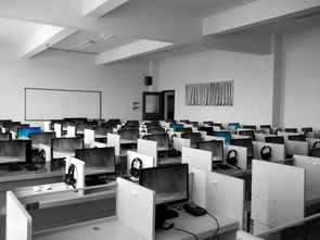 九游娱乐-中小学体育健康教育课程开发与实践，中小学体育与健康课程指导纲要