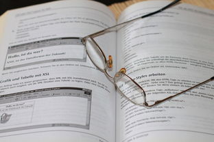 九游体育官网入口-中小学体育安全教育实施效果评估研究，中小学体育评估体系