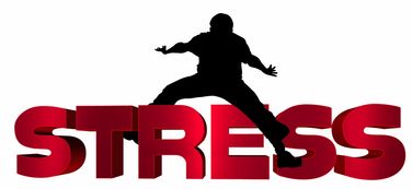 九游官网入口下载-篮球运动员比赛心理压力识别与调控技术研究，篮球运动员的心理素质训练应把重点放在  第2张