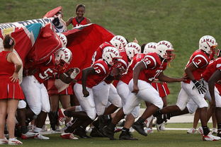 九游体育-青少年体育俱乐部认证标准出台，国家级青少年体育俱乐部要求